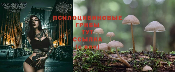 каннабис Белокуриха